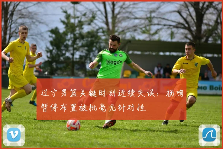 辽宁男篮关键时刻连续失误，杨鸣暂停布置被批毫无针对性