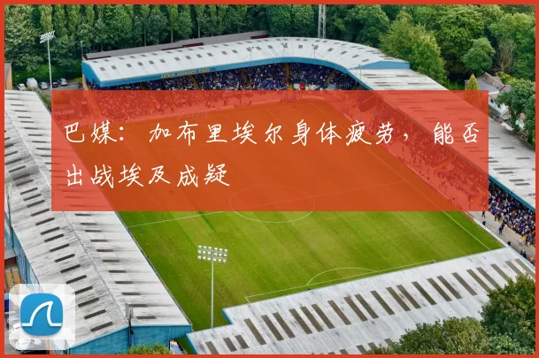 巴媒：加布里埃尔身体疲劳，能否出战埃及成疑
